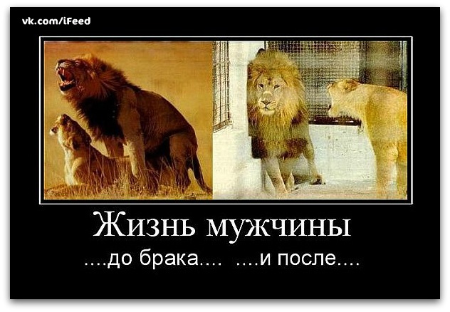 http://cs11281.vkontakte.ru/u1289152/134043678/y_513f16e7.jpg